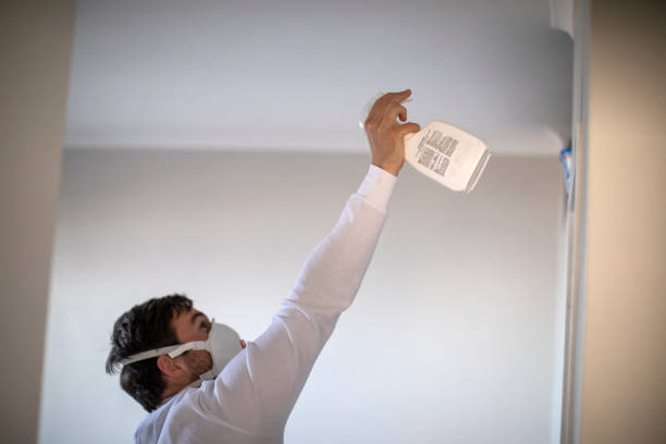 Mold Testing and Removal in Woodbury Heights, NJ
