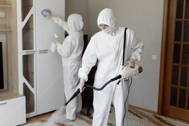Best Fast Mold Removal  in Woodbury Heights, NJ