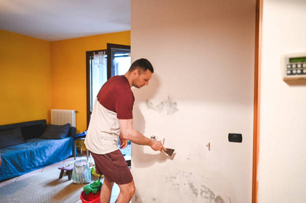 Best Mold Damage Repair  in Woodbury Heights, NJ